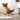 125-110-0012 + Swivel Sofa