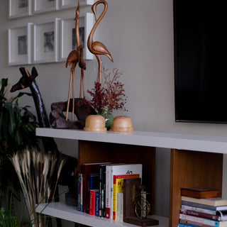 How to Choose the Perfect Bookshelf 2023